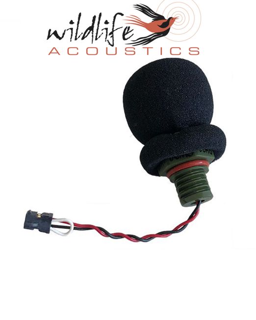 SM MINI 1
