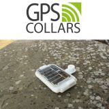 GPS Collar EarTraX